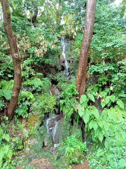 高岡古城公園の古城の滝の写真