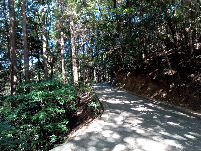 ロープウェイの着いた山頂駅から岩国城までの山道の画像