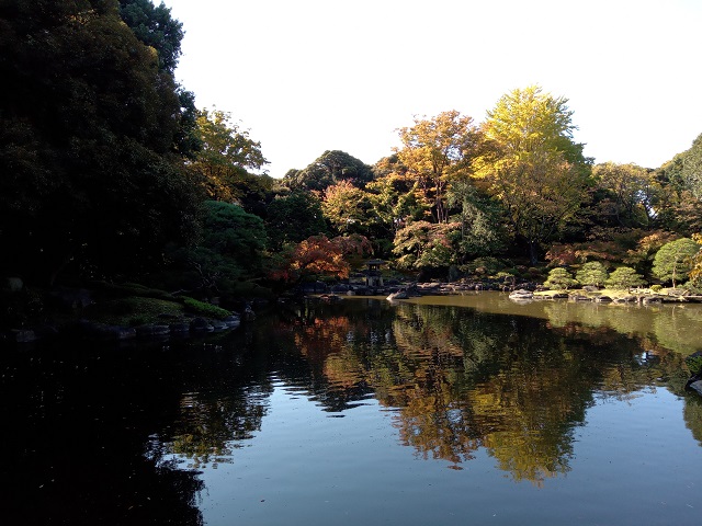 色づき始めた旧古河庭園の日本庭園の紅葉の様子の画像