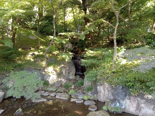 色づき始めた旧古河庭園の日本庭園の紅葉の様子６の画像