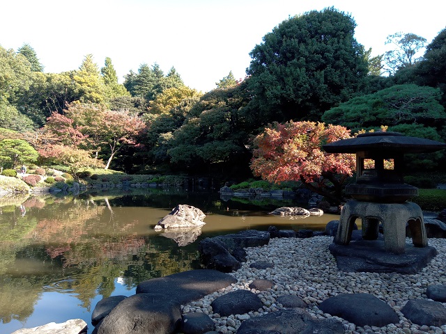 色づき始めた旧古河庭園の日本庭園の紅葉の様子3の画像