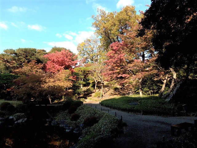 2022年11月下旬の旧古河庭園の紅葉の様子の画像